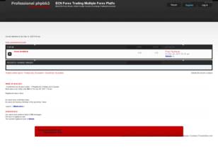 ECN Forex Trading  Multiple Forex Platfo